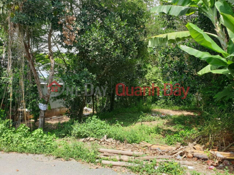 BEAUTIFUL LAND - CASH - For Sale Quickly In Vinh Truong Commune, An Phu, An Giang. _0