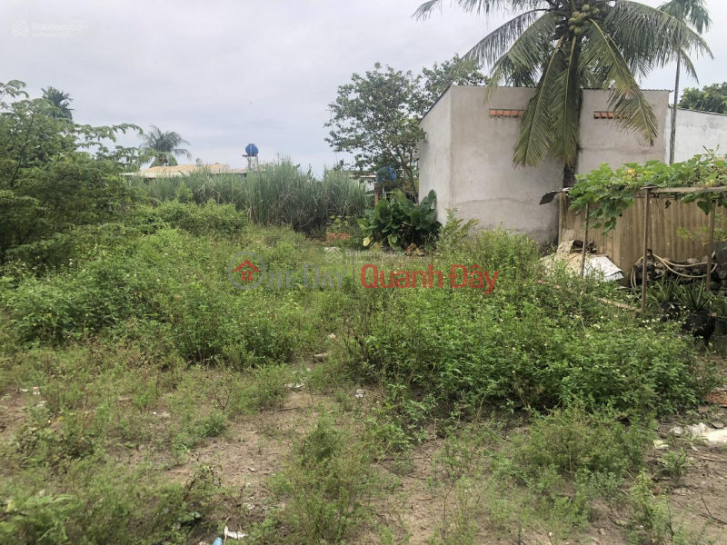 Property Search Vietnam | OneDay | Residential Sales Listings | OWNER SELLING 431m2 LAND WITH FULL RESIDENTIAL TITLE DEED, FRONTAGE ON A ROAD WIDE ENOUGH FOR CARS TO PASS IN BINH MY.