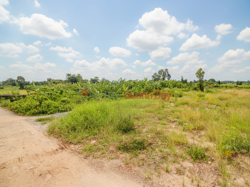 D1751 ️ đất Thạnh Xuân 52 Hóc Môn, SHR, HXT, 26x46m, 5.x tỷ Niêm yết bán