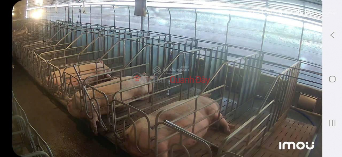 Property Search Vietnam | OneDay | Residential | Sales Listings, PRIME LAND - GOOD PRICE - URGENT SALE! Land for sale in Phuc Tho Commune, Lam Ha District, Lam Dong Province.