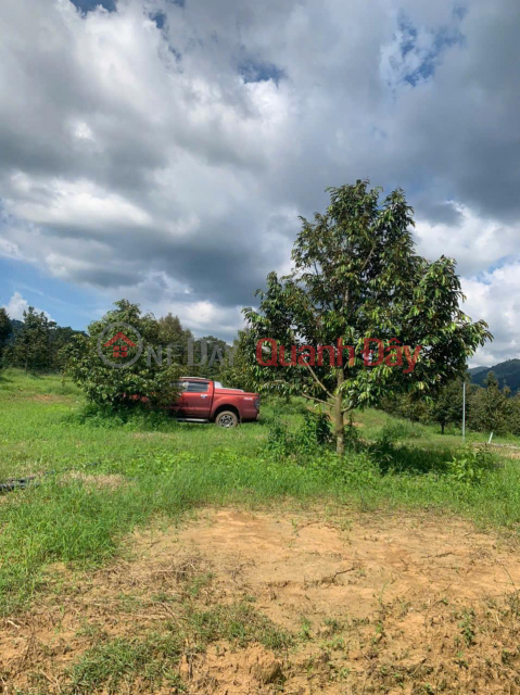 Need to sell 1.6ha land plot in K4 Ha Lam Commune, Da Huoai District, Lam Dong Province.. area 16000m2 price 5 billion! _0