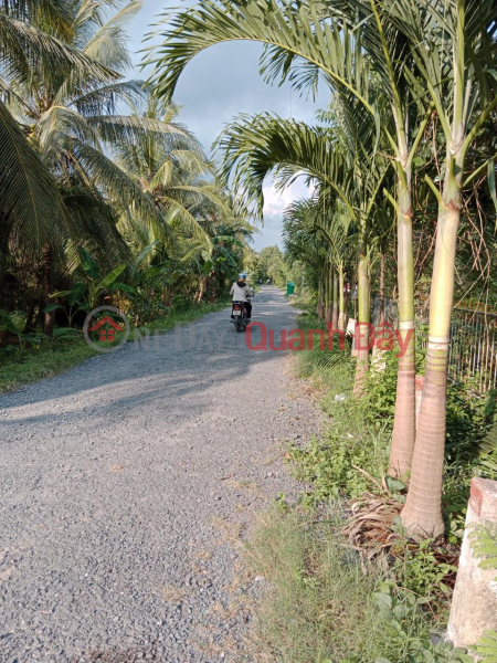 OWNER Needs to Sell a Lot of Land in a Super Prime Location on DT. 907 Road, Trung Hiep Commune, Vung Liem, Vinh Long, Vietnam, Sales | đ 450 Million