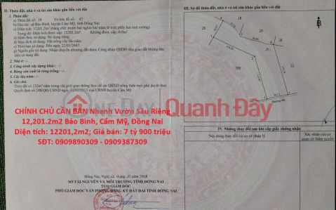 CHÍNH CHỦ CẦN BÁN Nhanh Vườn Sầu Riêng 12,201.2m2 Bảo Bình, Cẩm Mỹ, Đồng Nai _0