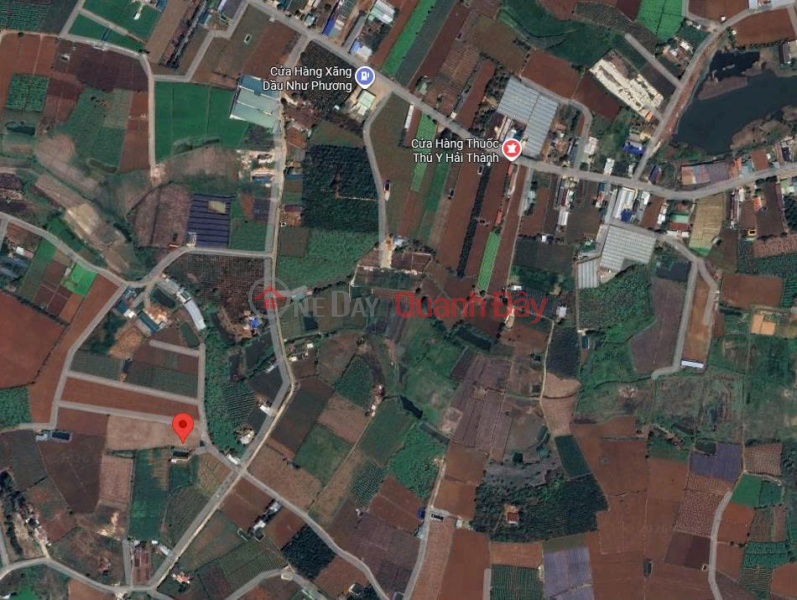 Property Search Vietnam | OneDay | Residential, Sales Listings, House and garden for sale, 1000m2, Duc Trong – Lam Dong - price 3.25 billion VND.