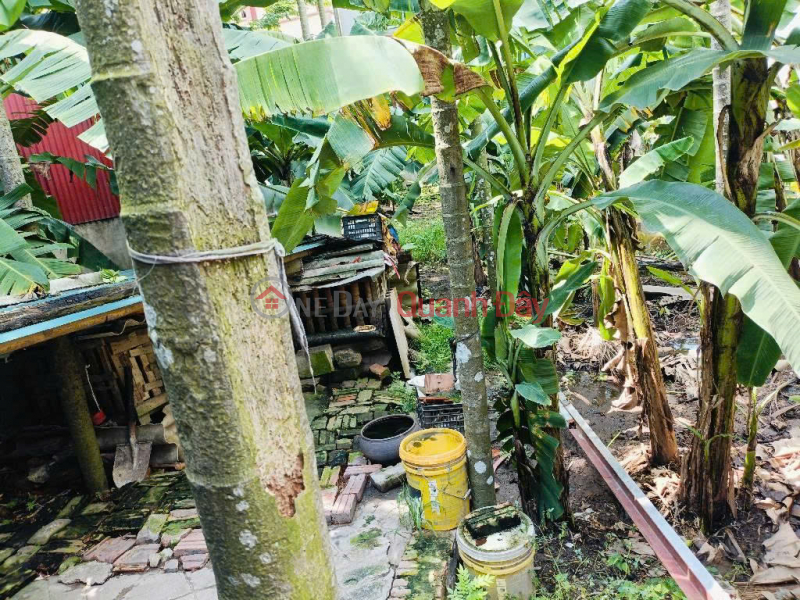 đ 6,9 tỷ, ĐẤT ĐẸP MT 4.85 m, vuông vắn - GIÁ TỐT KHU GIANG BIÊN - VIỆT HƯNG, LONG BIÊN, ĐƯỜNG OTO
