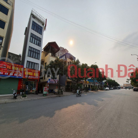Land for sale on rough business street 299.9m2 Trau Quy, Gia Lam, Hanoi. _0