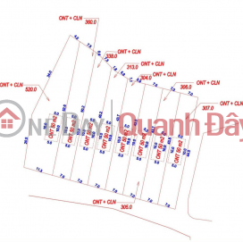 Urgent Sale of 4 Lots in Hong Giang Ward - Luc Ngan - Bac Giang _0