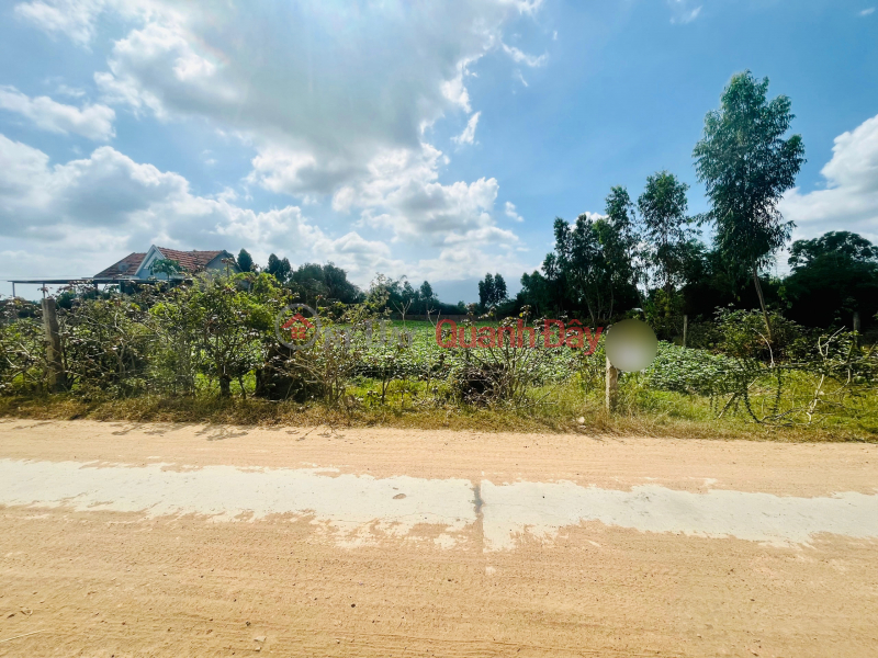 Property Search Vietnam | OneDay | Residential Sales Listings CODE 963 (NH-19): SELLING GARDEN LAND IN NHA SU VILLAGE, NINH THAN, NINH HOA.