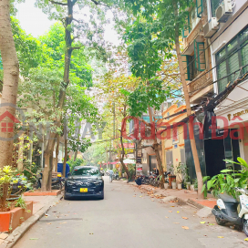 Car alley frontage, near Tran Quang Dieu lake, 53m² x 5 floors x 4.7m frontage - 18.9 billion _0