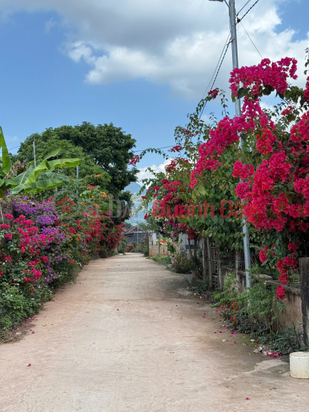 Property Search Vietnam | OneDay | Residential Sales Listings, Opportunity to own a cheap Thai roof house in Moc Chau, newly built house, near Moc Chau tourist center.