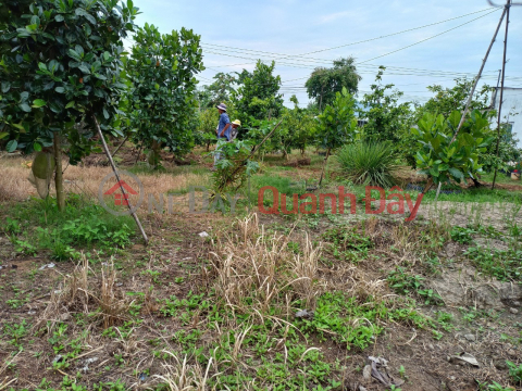 The owner sells land in Phuoc Hau commune, Long Ho district, Vinh Long province. _0