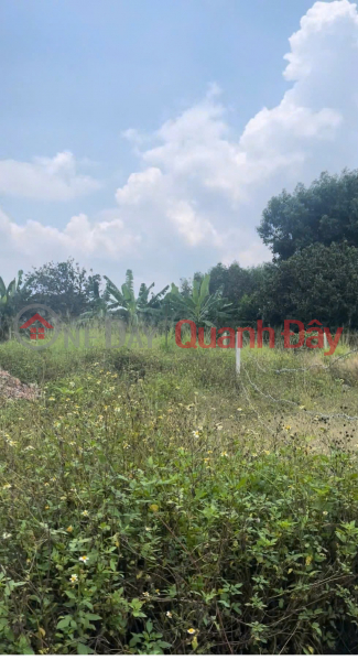 Property Search Vietnam | OneDay | Residential, Sales Listings, BEAUTIFUL LAND - PROFITABLE INVESTMENT - Owner Needs to Sell Land Lot in Binh Loi, Vinh Cuu, Dong Nai