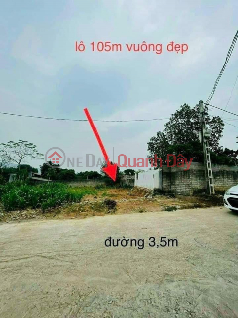 OWNER Needs to Urgently Sell LAND LOT - Extremely Cheap Price in Nghia Hung, Lang Giang _0