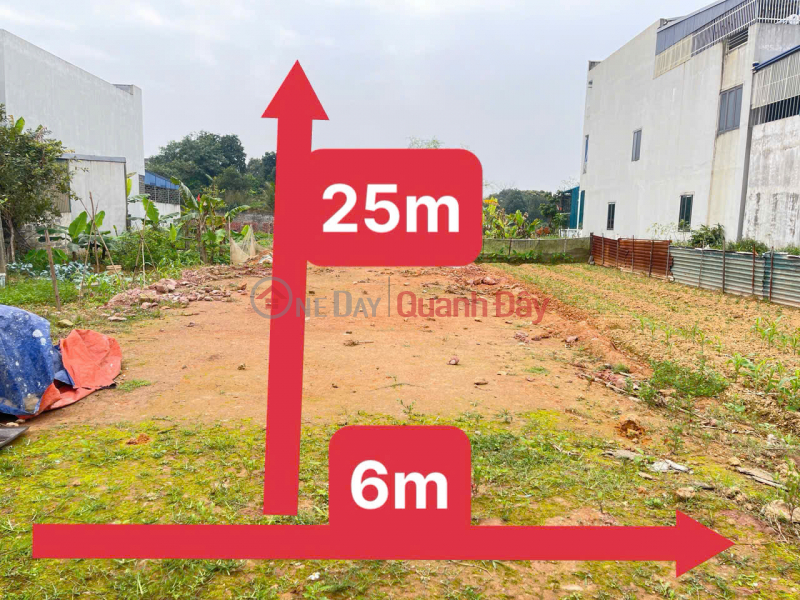 Selling a 150m2 (6x25) plot of land with full residential zoning in the Tan Tien Resettlement Area - Bach Quang - Thai Nguyen. Sales Listings
