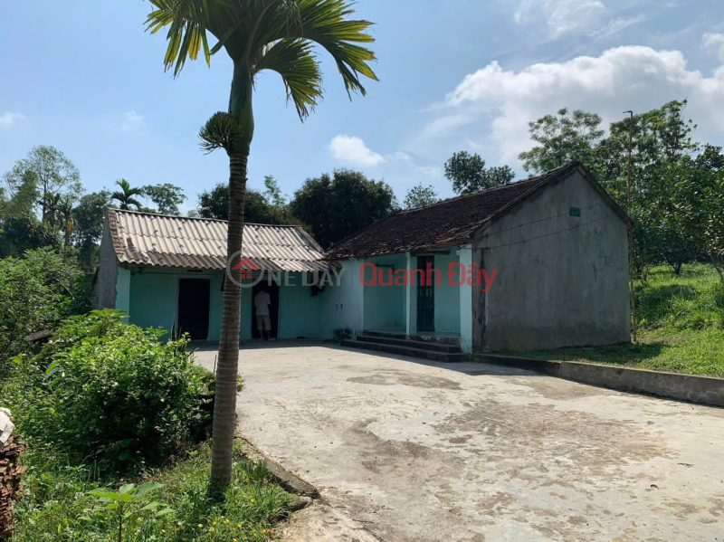 SUPER PRODUCT OF 2-FRONT GARDEN LAND IN LIEN SON, LUONG SON, HOA BINH | Vietnam Sales, đ 7.74 Billion