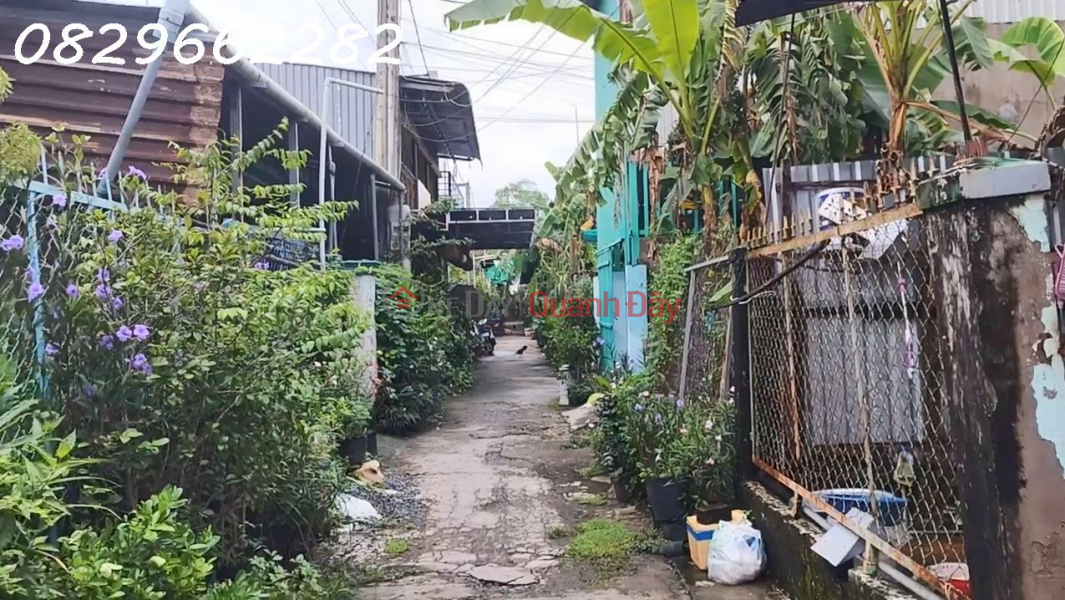 Property Search Vietnam | OneDay | Residential Sales Listings, Land for sale in Tan Phu Dong residential area near Nguyen Dinh Chieu specialized school, Sa Dec, Dong Thap