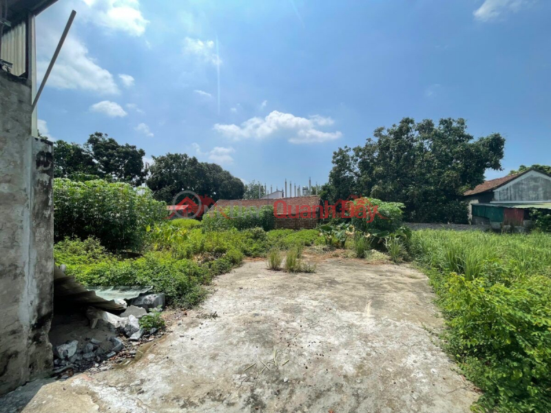 CHÍNH CHỦ CẦN BÁN LÔ ĐẤT 312,5M TẠI ĐÔNG YÊN-QUỐC OAI-HÀ NỘI Việt Nam | Bán, đ 50 triệu