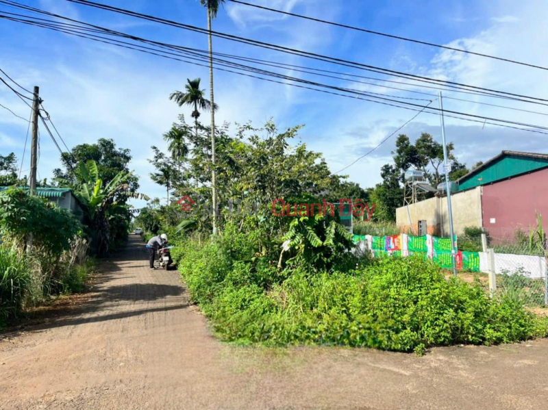 ₫ 899 Million BEAUTIFUL LAND - GOOD PRICE - Quick Sale Land Lot Prime Location In Ea Tu Commune, Buon Ma Thuot, Dak Lak,