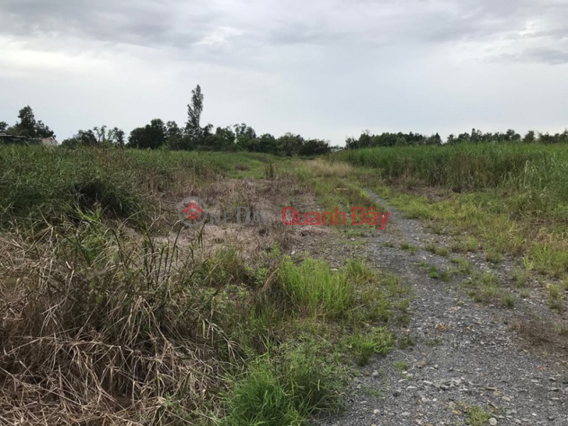 đ 450 Million, Land for sale in An Ha, Pham Van Hai commune, Binh Chanh, 50m2, TT price 450 million