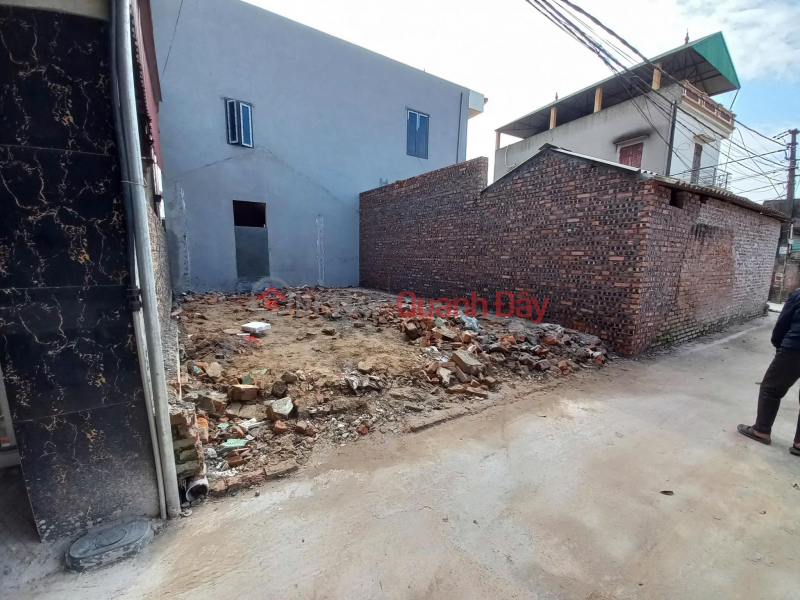 Property Search Vietnam | OneDay | Residential, Sales Listings LAND FOR SALE 41.2M2 ON THE WEST BORDER OF DINH TRUNG XUAN NON DONG ANH (THU LAM NEW) - ONLY 3.X BILLION (X SMALL)