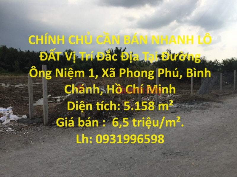 OWNER NEEDS TO QUICKLY SELL LOT OF LAND Prime Location In Binh Chanh District - HCM Sales Listings