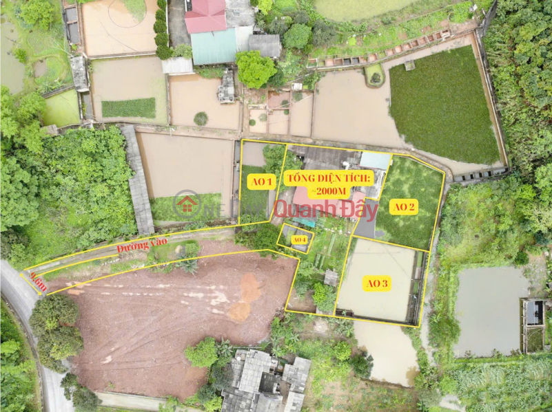 BEAUTIFUL LAND - CHEAP PRICE - Owner Quickly Sells 2000m2 Land Plot In Van Chan, Yen Bai Sales Listings