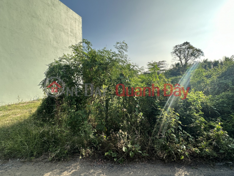 The owner is short of money and needs to urgently sell land in Tran Thi Thom, full residential land, My Tho city, 110m2 (5x23)m _0