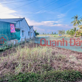 BEAUTIFUL LAND - GOOD PRICE - Need to Sell Land Plot Quickly in Vinh Hung - Vinh Loi - Bac Lieu _0