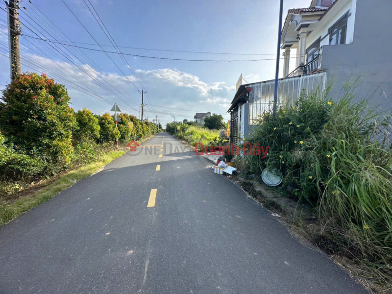 2 LÔ LIỀN KỀ MẶT TIỀN KINH DOANH NGAY CHỢ BÌNH LỢI – 290M2 CHỈ 1 TỶ 550 TL, Việt Nam Bán | đ 1,55 tỷ