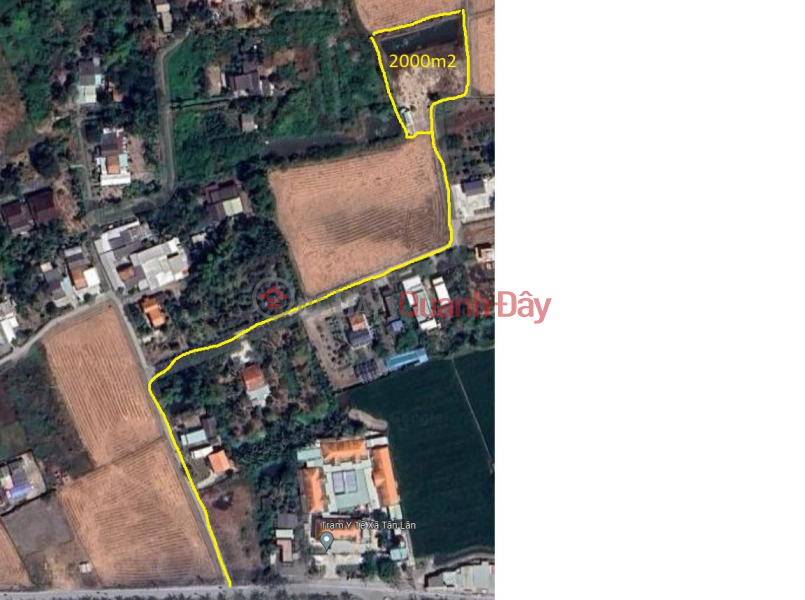 Property Search Vietnam | OneDay | Residential Sales Listings | OWNER Sells 2000m2 of Rice Land in Tan Lan Commune, Can Duoc District, Long An