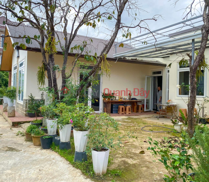 Property Search Vietnam | OneDay | , Niêm yết bán | Đất có Sẵn Biệt Thự Sân Vườn -Đường Ô Tô Đường Triệu Việt Vương - Phường 3 Đà Lạt