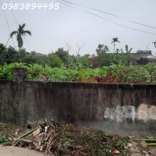 Property Search Vietnam | OneDay | Residential Sales Listings | Beautiful land for sale in Quang Ninh commune, Quang Xuong district, Thanh Hoa province, 340m2, ideal for investment.