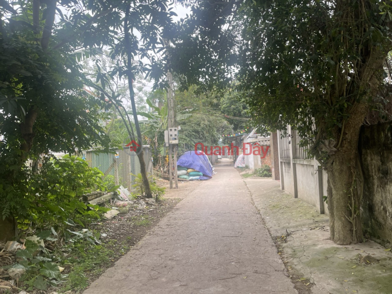 Property Search Vietnam | OneDay | Nhà ở, Niêm yết bán BÁN ĐẤT TẶNG NHÀ D/T:111,3M2 THỤY HƯƠNG-CHƯƠNG MỸ