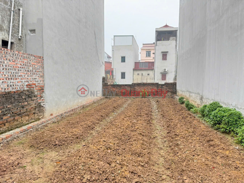 Bán đất thôn Do Hạ, Tiền Phong, Mê Linh. Oto đỗ. 5 phút di chuyển tới chợ Yên, hồ Ba Góc, Việt Nam | Bán, đ 3,25 tỷ