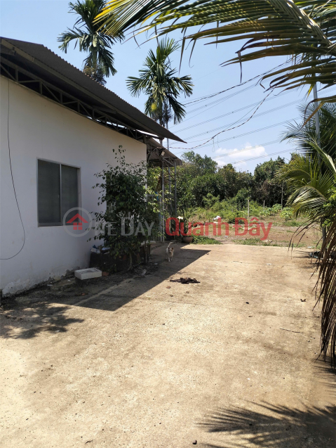 Owner selling land with house included. Address: Bao Quang Commune, Long Khanh City, Dong Nai Province. _0