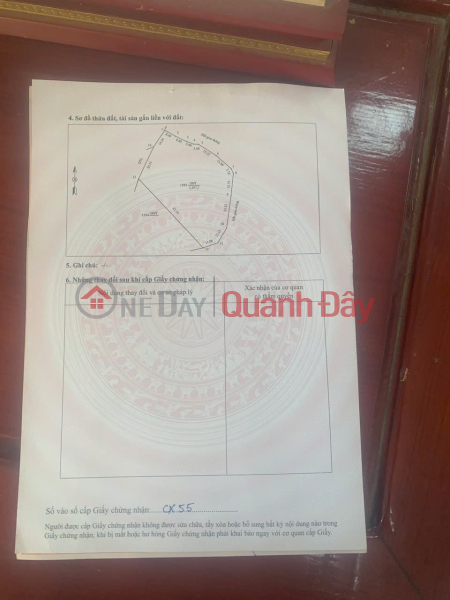 Property Search Vietnam | OneDay | Residential, Sales Listings, OWNER'S GARDEN LAND - CORNER LOT WITH 2 FRONTAGES At Village 3, Hop Tien Commune (Old Trieu Son District),Thanh Hoa