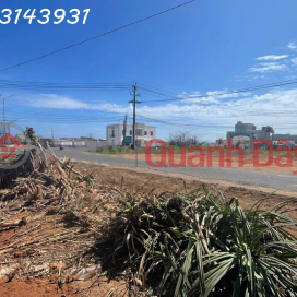 Urgent sale of large 2-frontage land lot on Phu Quy Island, area 1,318m2, price 3.9 billion negotiable _0