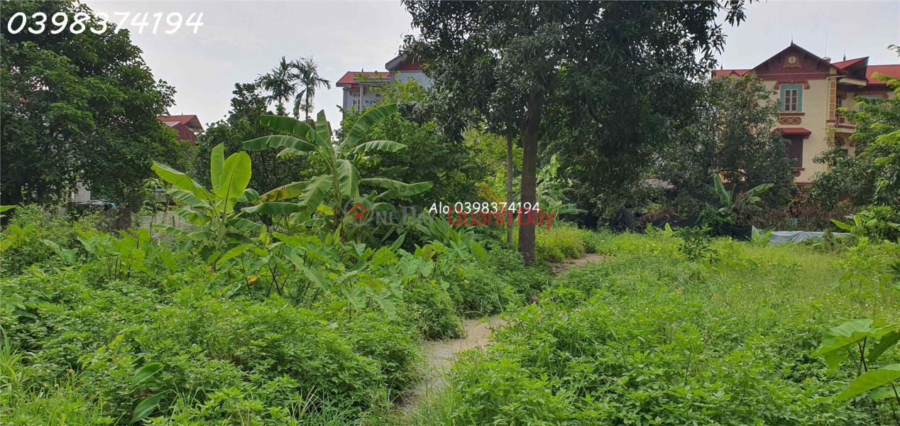 Property Search Vietnam | OneDay | Nhà ở | Niêm yết bán | Nhỉnh 2 tỉ có đất đẹp full thổ cư Vân nội 77.5m2