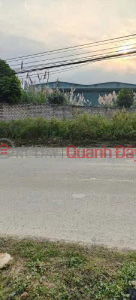 Land for sale, 80m2, in Tien Xuan Commune, Thach That District, Hanoi - Only 50 million VND per m2 - Wide paved road accessible by car. Sales Listings