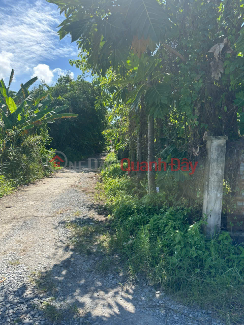 Owner Needs to Sell Nearly 1 Concentrate of Land in Van Thang Residential Area (TPĐ Medical Station),Sa Dec Ward, Dong Thap Province. _0