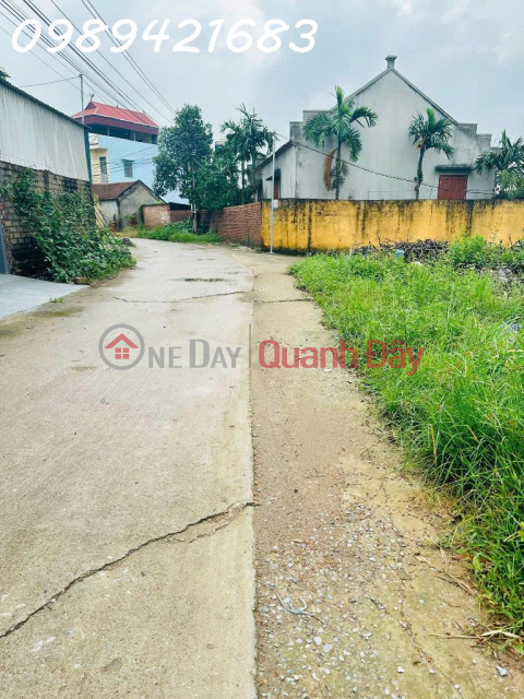 Owner needs to sell corner lot (number 4),Tan Lap residential group - Tan An town - Bac Giang _0