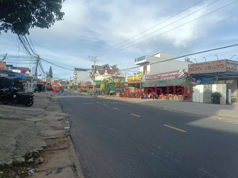 Selling 300M2 FULLY CONSTRUCTED Frontage Ngo Gia Tu - Ward 12, Da Lat _0