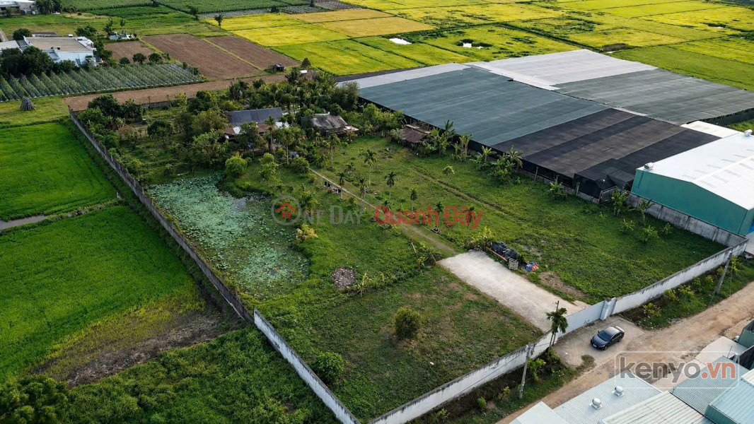 LARGE PLOT OF LAND WITH FRONTAGE IN XUAN THOI SON – NEARLY 6400M² – 65M WIDE, WITH RESIDENTIAL LAND TITLE, Vietnam, Sales | đ 54 Billion