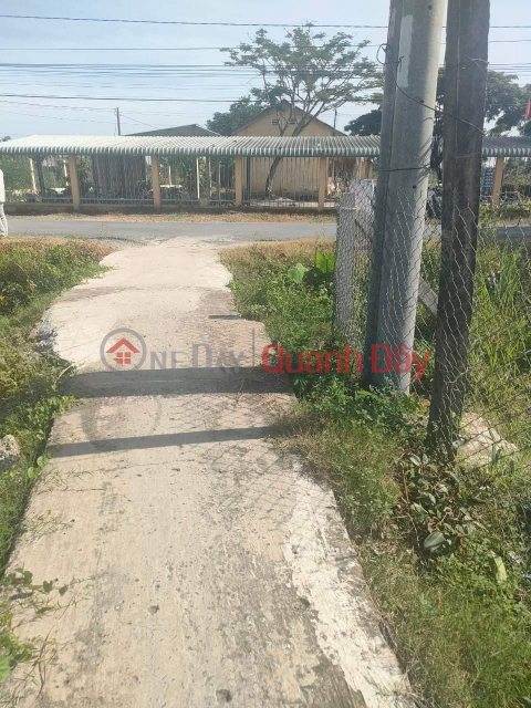Owner Needs to Sell Land Lot with Nice Location in Dong Thanh Commune, Go Cong Tay District, Tien Giang _0