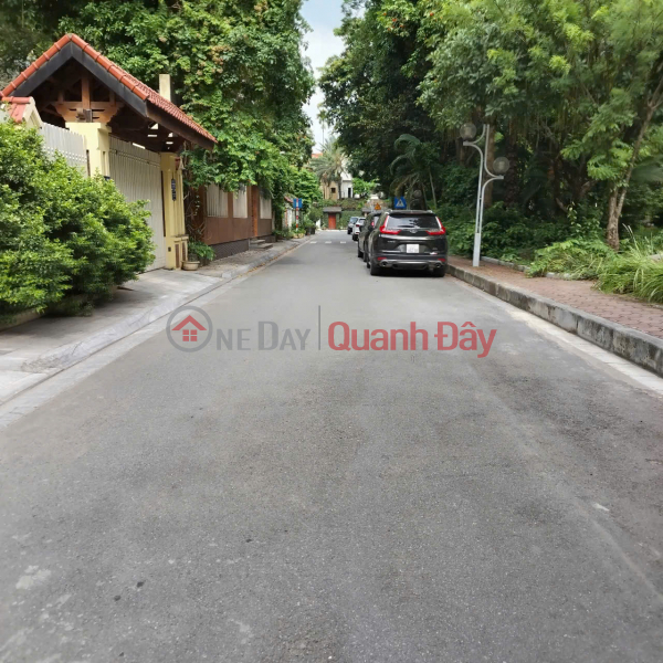 Property Search Vietnam | OneDay | Nhà ở | Niêm yết bán | BÁN GẤP BIỆT THỰ SIÊU VIP - CỰC HIẾM – VIEW CÔNG VIÊN – HÀNG XÓM ĐẠI GIA – AN NINH TUYỆT ĐỐI. 205m 59,9 tỷ