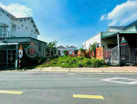 PROFITABLE INVESTMENT - Owner urgently needs to sell prime land in Buu Long Ward, Bien Hoa City, Dong Nai Province. _0