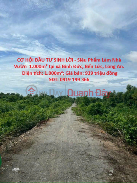 PROFITABLE INVESTMENT OPPORTUNITY - A Superb 1,000m² Garden House Plot in Binh Duc Commune, Ben Luc District, Long An Province. _0