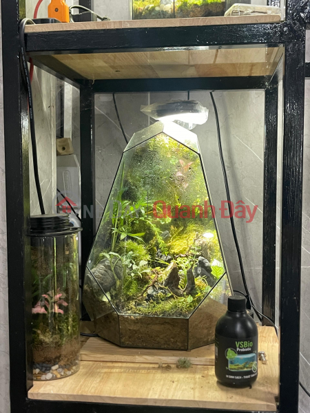 for rent Vietnam Rental | đ 3 Million/ month