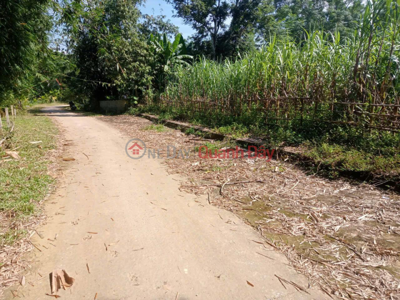 Property Search Vietnam | OneDay | Residential, Sales Listings, HOT HOT - OWNER URGENTLY NEEDS TO SELL CHEAP LAND LOT in Dien Ha Commune, Ba Thuoc District, Thanh Hoa Province