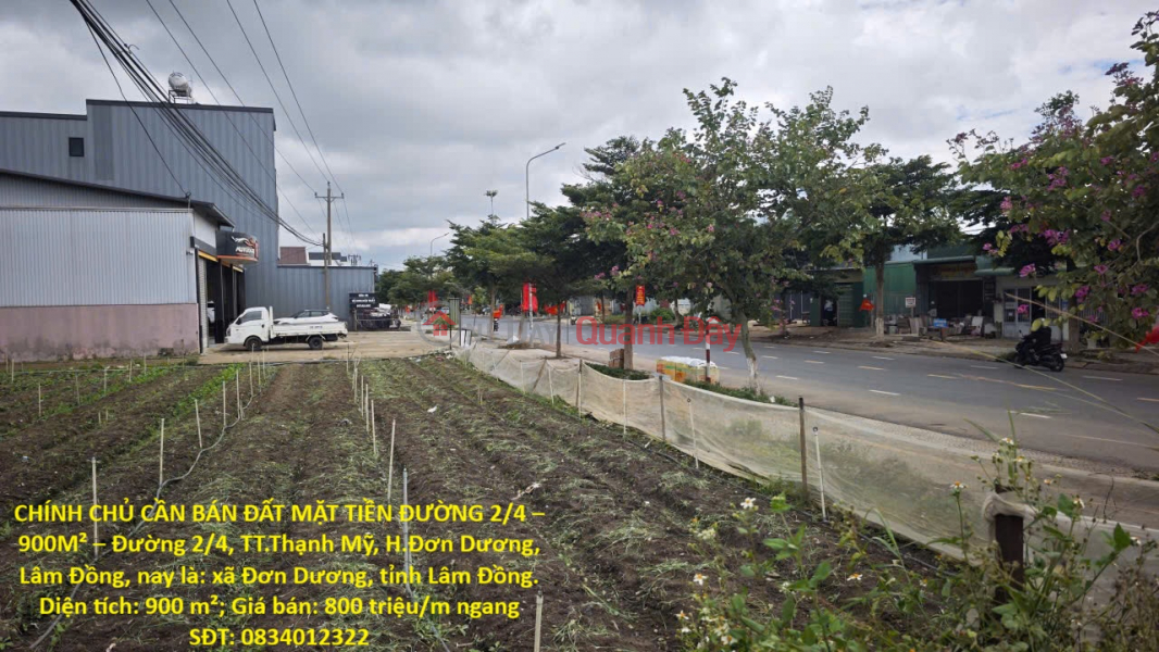 OWNER NEEDS TO SELL LAND WITH FRONTAGE ON 2\\/4 ROAD – 900M² – 2\\/4 Road, Thanh My Town, Don Duong District, Lam Dong Province Sales Listings